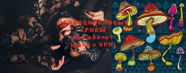 стаф Надым